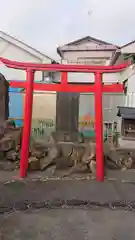 天王坊稲荷神社の鳥居