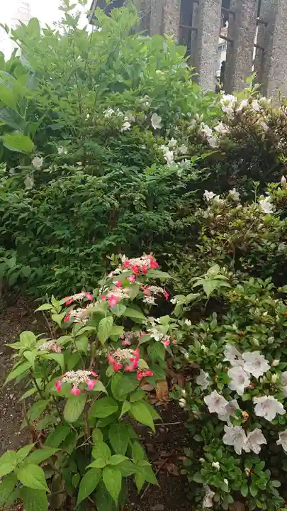 三輪神社の自然