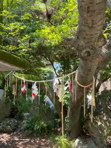 進雄神社の自然