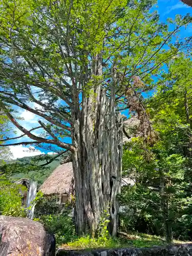 松原山 明善寺(岐阜県)