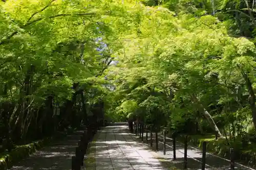 光明寺（粟生光明寺）(京都府)