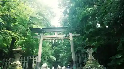 平泉寺白山神社(福井県)