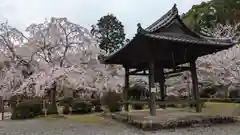 醍醐寺(京都府)