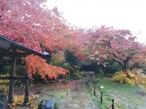 薬王寺の庭園