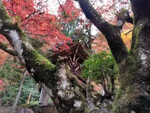 最乗寺（道了尊）(神奈川県)