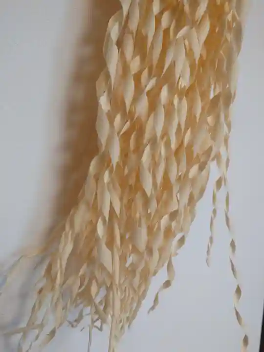 入間川大国神社(埼玉県)