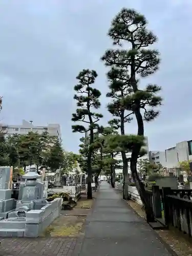 大正寺のその他建物