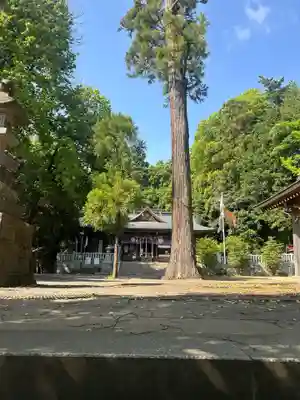 豊鹿嶋神社(東京都)
