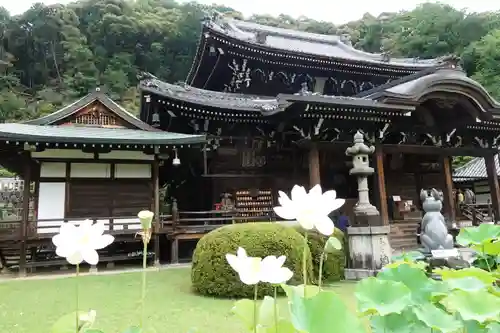 三室戸寺の本殿・本堂