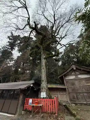 日吉大社(滋賀県)