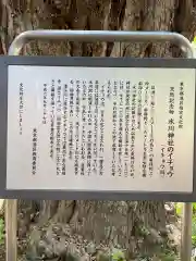 赤坂氷川神社の歴史