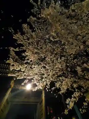 如宝寺(福島県)