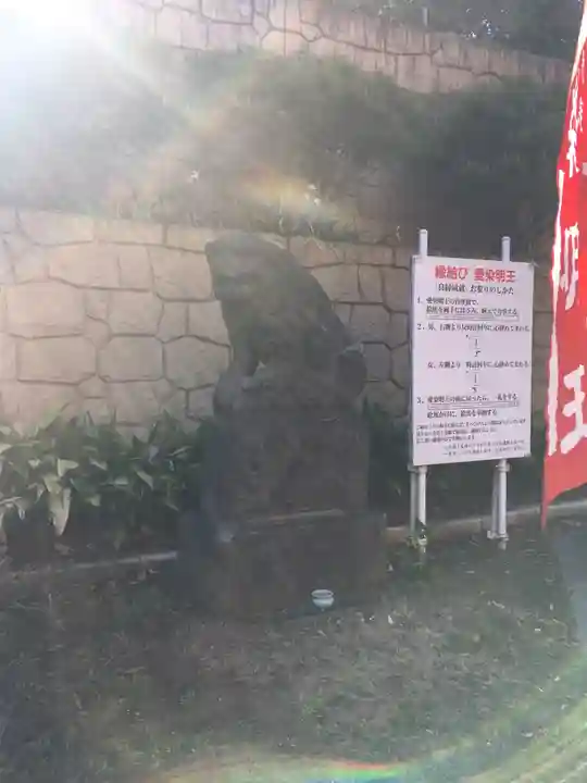 瀧泉寺(目黒不動尊)の狛犬