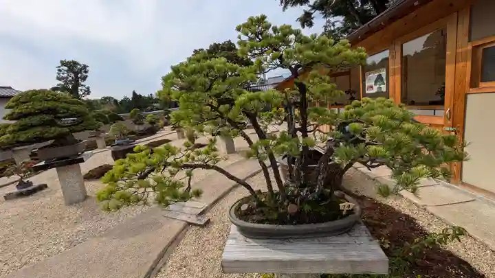 芳春院(京都府)
