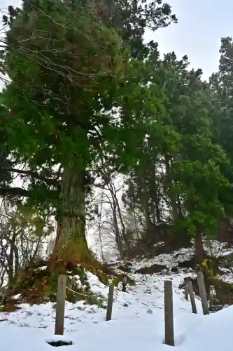 竹之高地不動社(新潟県)