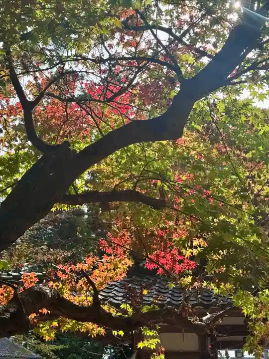 劔神社(滋賀県)