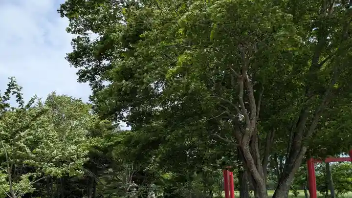 第八部落稲荷神社の自然