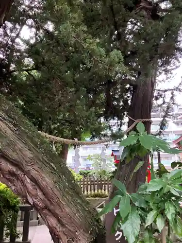 瀬戸神社(神奈川県)