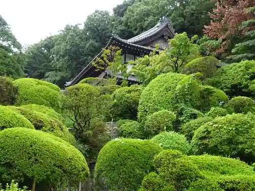 等覚院の庭園