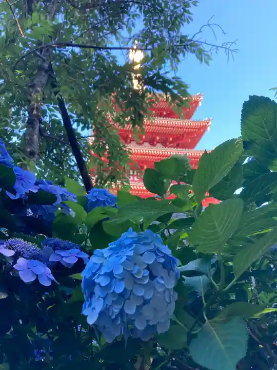 高幡不動尊 金剛寺(東京都)