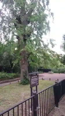 芝東照宮(東京都)