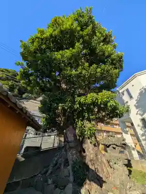 根岸町王子稲荷社(神奈川県)