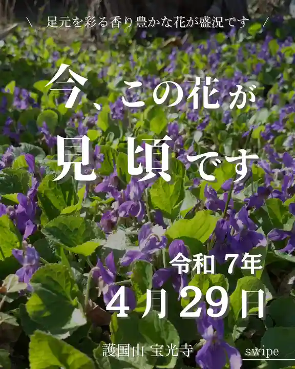 宝光寺(北海道)