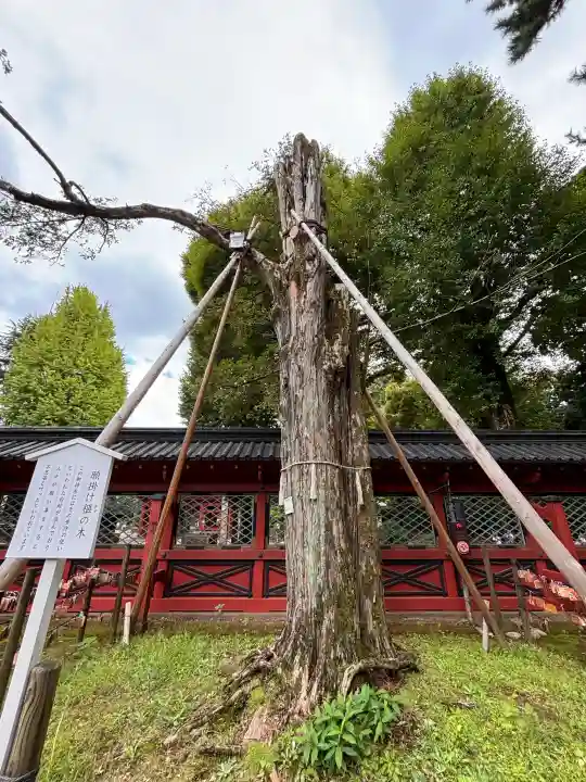 根津神社の{uncategorized: "未分類", other: "その他", undefined: "問題あり", building: "その他建物", grave: "お墓", sacred_gate: "鳥居", guardian: "狛犬", statue: "像", buddha: "仏像", history: "歴史", nature: "自然", garden: "庭園", animal: "動物", pagoda: "塔", temizu: "手水舎", mountain_gate: "山門・神門", sanctuary: "本殿・本堂", subordinate: "末社・摂社", art: "芸術", scenery: "景色", jizo: "地蔵", ema: "絵馬", goshuin: "御朱印", omikuji: "おみくじ", items: "授与品その他", amulet: "お守り", goshuincho: "御朱印帳", eats: "食事", festival: "お祭り", votive_dance: "神楽", shichigosan: "七五三参", wedding: "結婚式", experience: "体験その他", initially: "初詣", around: "周辺", anti_infection: "感染症対策"}