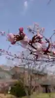 相馬神社の自然