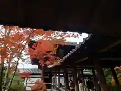 東福禅寺（東福寺）(京都府)