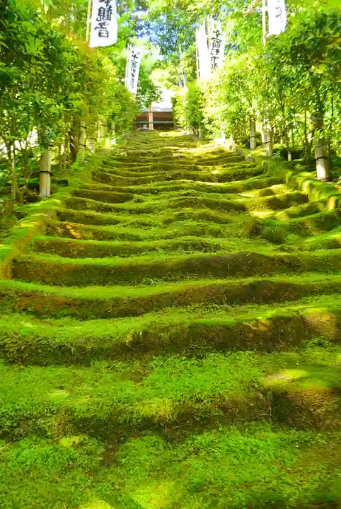 杉本寺(神奈川県)