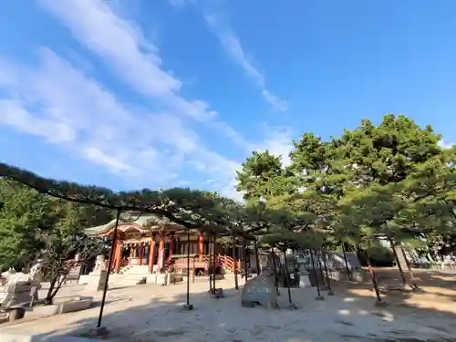 浜宮天神社の自然
