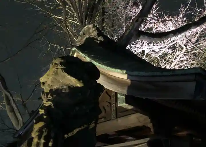 温泉神社〜いわき湯本温泉〜の狛犬