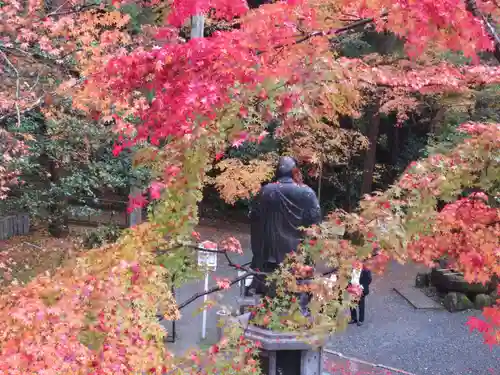 今熊野観音寺の庭園