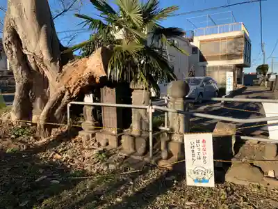 仙元神社(千葉県)