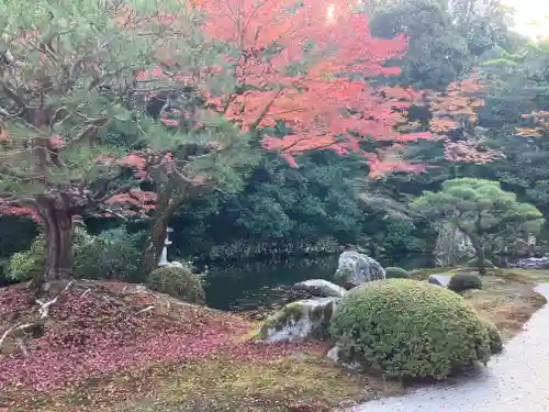 知恩院(京都府)