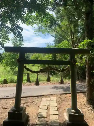 大杉神社(千葉県)