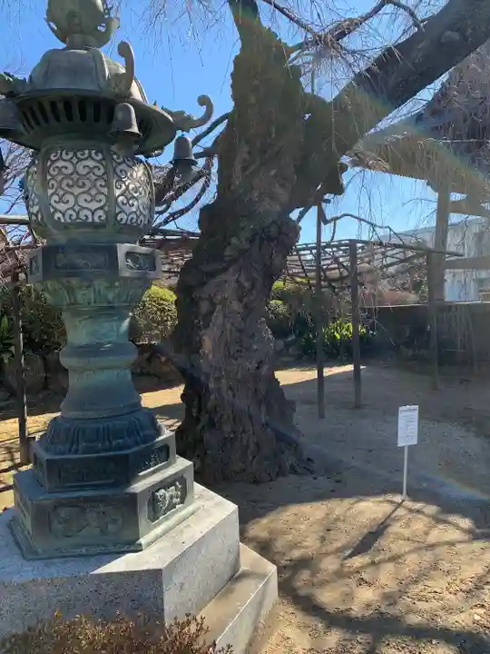 五宝寺(群馬県)