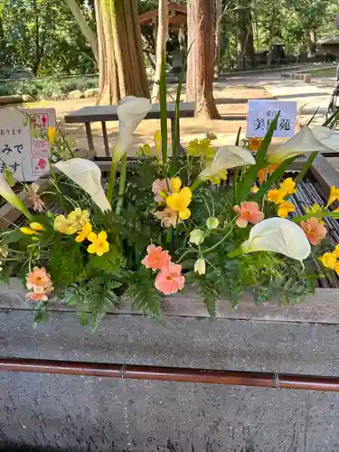 武蔵一宮氷川神社(埼玉県)
