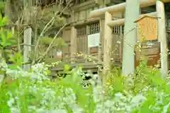 白山媛神社(新潟県)