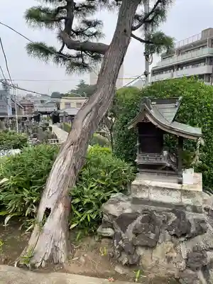 妙圓寺(妙円寺)(東京都)