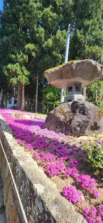 大聖寺(亀岡文殊)(山形県)