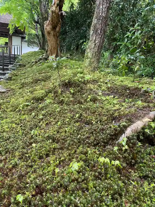安楽寺(京都府)