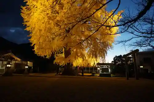 丹生酒殿神社の自然