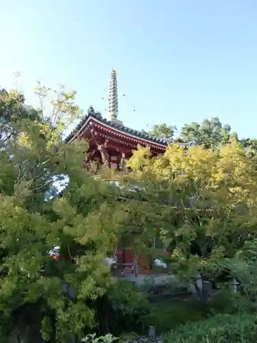 温泉山 安楽寺(四国霊場第六番札所)の建物その他