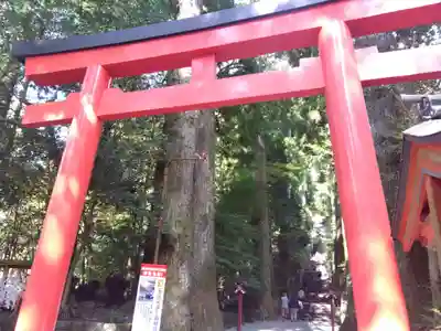 箱根神社(神奈川県)