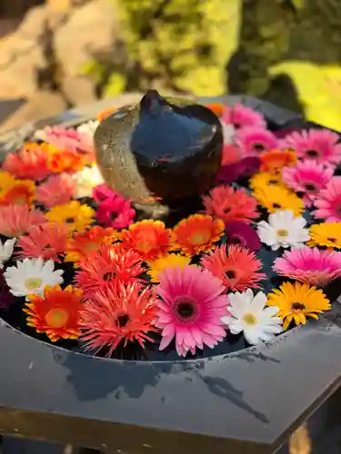 神楽坂安養寺(東京都)