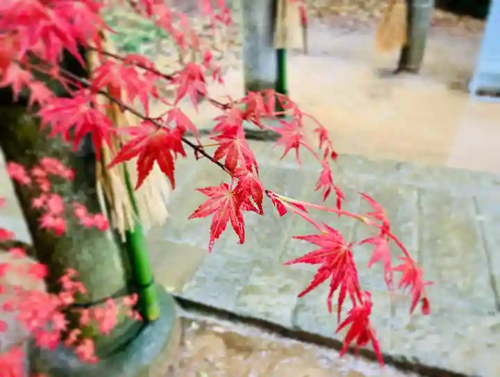 滑川神社 - 仕事と子どもの守り神の自然