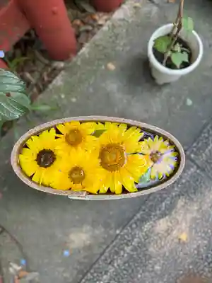 川越八幡宮(埼玉県)