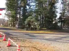 筑摩神社の建物その他